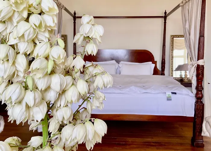 Chateau La Bainerie Oda ve Kahvaltı 3*